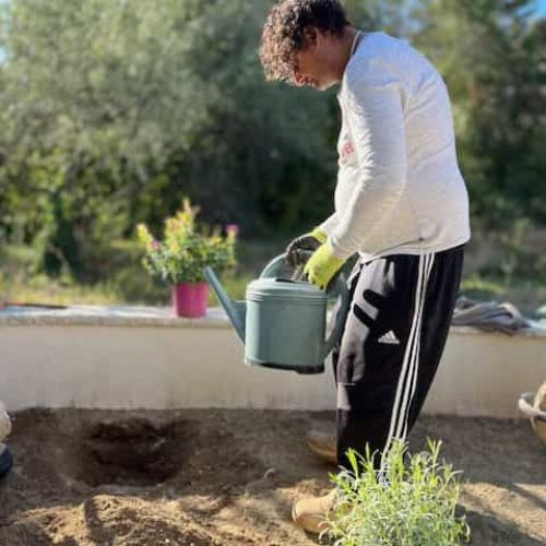 potager 2