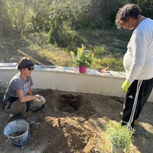 potager 3