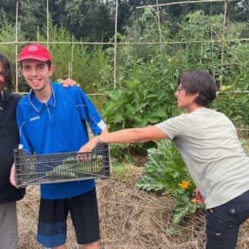 potager